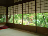 宗教法人退蔵院に投稿された画像（2026/7/20）