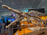特別展　大絶滅展に投稿された画像（2026/7/20）