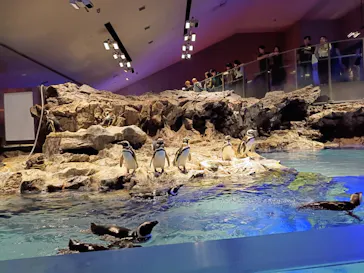 すみだ水族館に投稿された画像（2026/7/20）