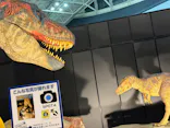 ヨコハマ恐竜展２０２６～恐竜の食卓大図鑑～に投稿された画像（2026/7/20）