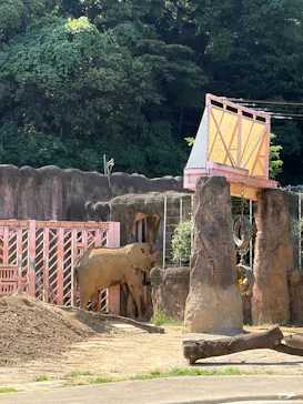 多摩動物公園に投稿された画像（2026/7/20）