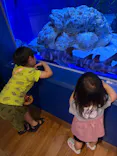 竹島水族館に投稿された画像（2026/7/20）