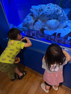 竹島水族館に投稿された画像（2026/7/20）