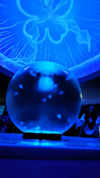 新江ノ島水族館に投稿された画像（2026/7/20）