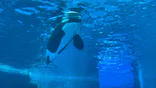 名古屋港水族館に投稿された画像（2026/7/20）