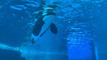 名古屋港水族館に投稿された画像（2026/7/20）