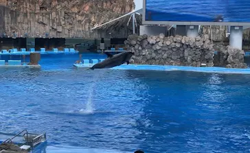名古屋港水族館に投稿された画像（2026/7/20）