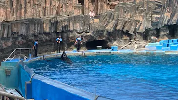 名古屋港水族館に投稿された画像（2026/7/20）