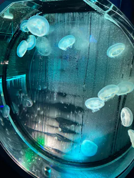 名古屋港水族館に投稿された画像（2026/7/20）