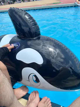 海の中道サンシャインプールに投稿された画像（2026/7/20）