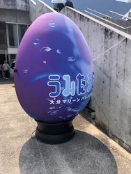 大分マリーンパレス水族館 「うみたまご」に投稿された画像（2026/7/20）