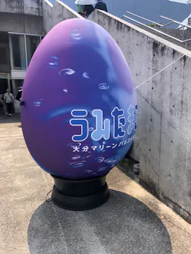 大分マリーンパレス水族館 「うみたまご」に投稿された画像（2026/7/20）