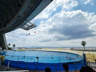 マリンワールド海の中道に投稿された画像（2026/7/20）