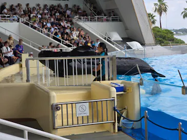 マリンワールド海の中道に投稿された画像（2026/7/20）
