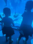 名古屋港水族館に投稿された画像（2026/7/20）