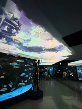 のとじま水族館に投稿された画像（2026/7/20）