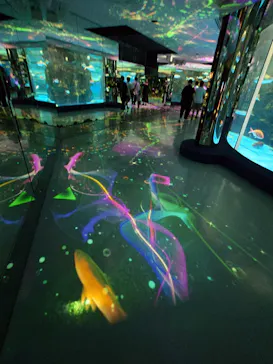 のとじま水族館に投稿された画像（2026/7/20）