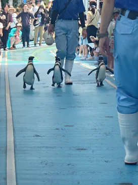 のとじま水族館に投稿された画像（2026/7/20）