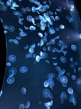すみだ水族館に投稿された画像（2026/7/20）