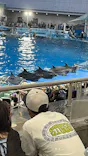 名古屋港水族館に投稿された画像（2026/7/20）