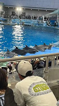 名古屋港水族館に投稿された画像（2026/7/20）
