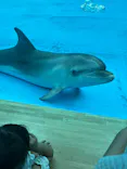 アクアワールド茨城県大洗水族館に投稿された画像（2026/7/20）