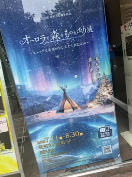 オーロラと森のものがたり展 　～ヒュッゲと童話がおしえてくれたもの～に投稿された画像（2026/7/20）
