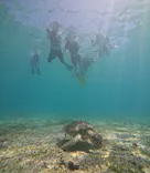 OCEANZ（オーシャンズ）に投稿された画像（2026/7/20）