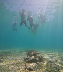 OCEANZ（オーシャンズ）に投稿された画像（2026/7/20）