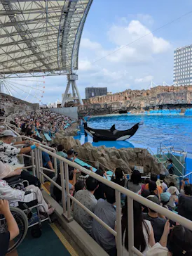 名古屋港水族館に投稿された画像（2026/7/20）