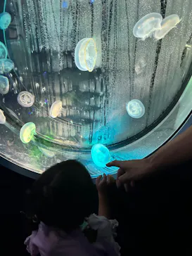 名古屋港水族館に投稿された画像（2026/7/20）