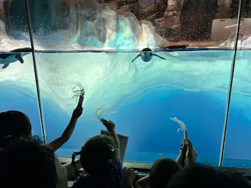 名古屋港水族館に投稿された画像（2026/7/20）