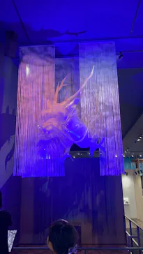 滋賀県立琵琶湖博物館に投稿された画像（2026/7/20）