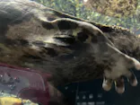 京都水族館に投稿された画像（2026/7/20）