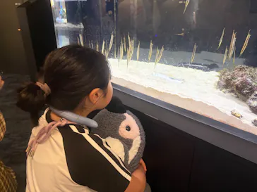 京都水族館に投稿された画像（2026/7/20）