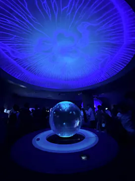 新江ノ島水族館に投稿された画像（2026/7/20）