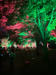 チームラボ ボタニカルガーデン 大阪に投稿された画像（2026/7/20）
