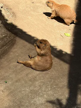 伊豆シャボテン動物公園に投稿された画像（2026/7/20）
