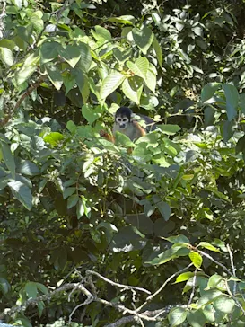 伊豆シャボテン動物公園に投稿された画像（2026/7/20）