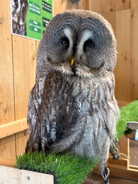 伊豆シャボテン動物公園に投稿された画像（2026/7/20）
