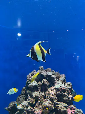 葛西臨海水族園に投稿された画像（2026/7/20）