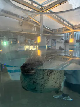 京都水族館に投稿された画像（2026/7/20）