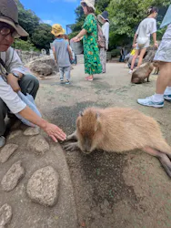 伊豆シャボテン動物公園に投稿された画像（2026/7/20）