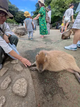 伊豆シャボテン動物公園に投稿された画像（2026/7/20）