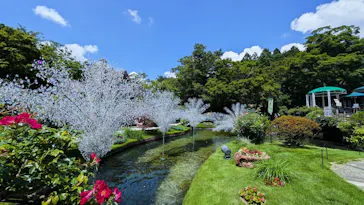 箱根ガラスの森美術館に投稿された画像（2026/7/20）