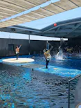 上越市立水族博物館 うみがたりに投稿された画像（2026/7/21）