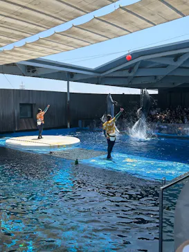 上越市立水族博物館 うみがたりに投稿された画像（2026/7/20）