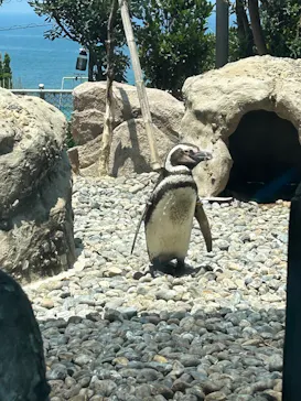上越市立水族博物館 うみがたりに投稿された画像（2026/7/20）