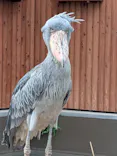掛川花鳥園に投稿された画像（2026/7/21）