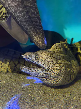 竹島水族館に投稿された画像（2026/7/21）
